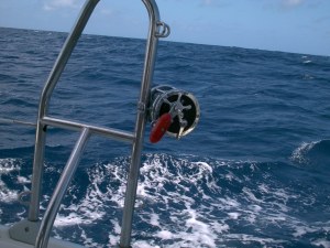 Onze hengel, een dobber is niet nodig